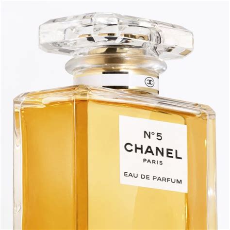 google chanel perfume|chanel perfume cheapest price.